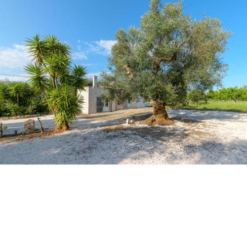Country House among the olive trees by Wonderful Italy