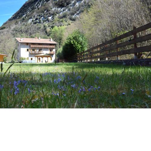 Country House Foglie d'erba
