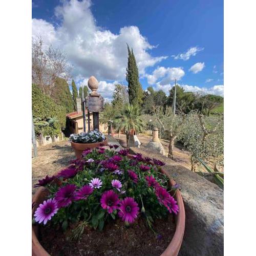 Country house in Maremma Villa Mafalda