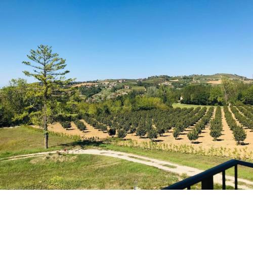 Country house in the Langhe with vineyard