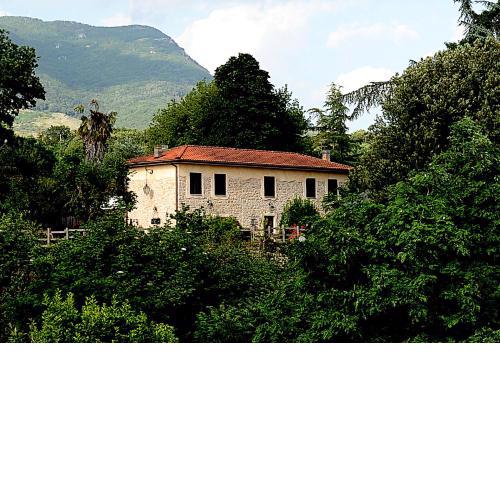 COUNTRY HOUSE