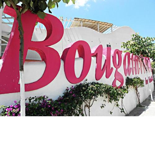 Cozy 1BD "Opossite Bougainville"