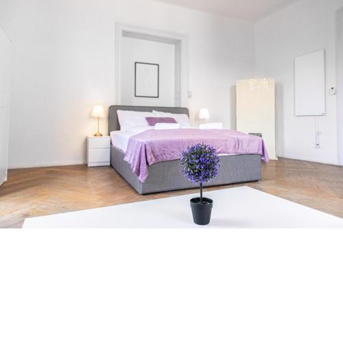 Cozy 2BR Apt. near AKH Hospital-ideal for Longstay