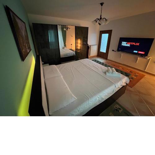 Cozy Apartament near Center of Tirana