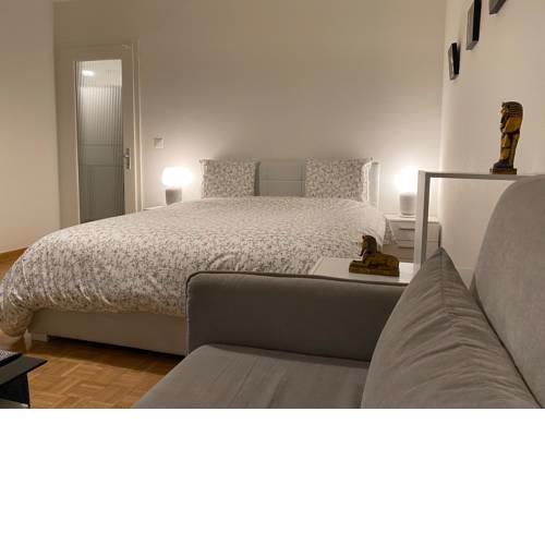 Cozy apartment - GENEVA Center