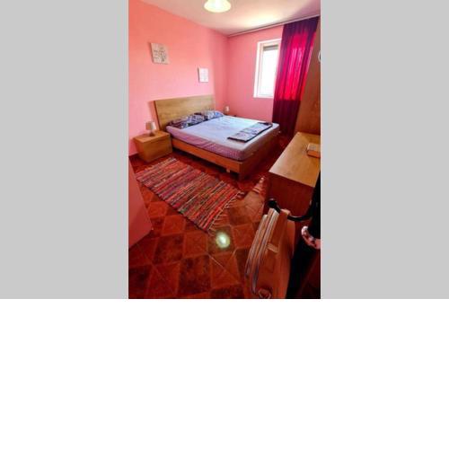 Cozy Apartment 2