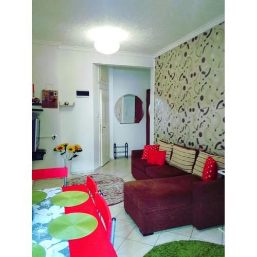 Cozy Apartment close to city center