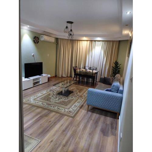 Cozy Apartment cornish maadi