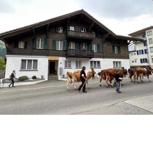 Cozy apartment in center Lenk