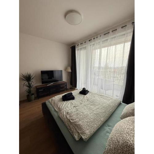 Cozy apartment in downtown