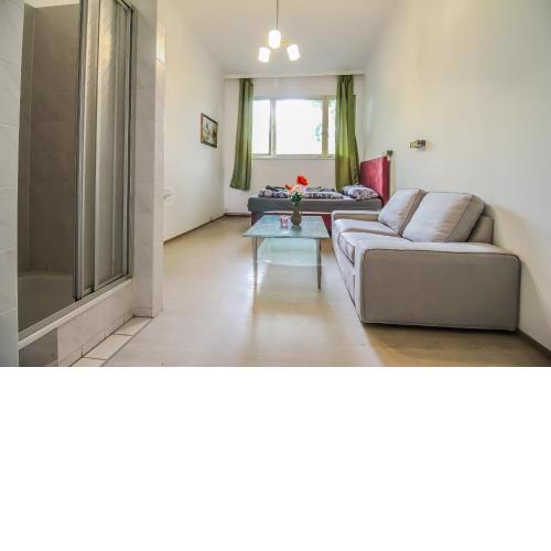 Cozy apartment in lively area