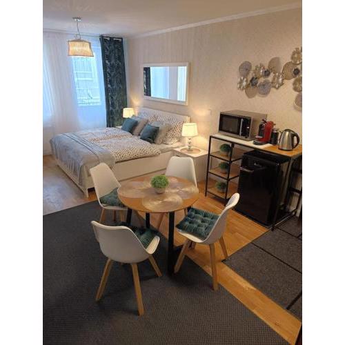 Cozy apartment in the city of Prague 2
