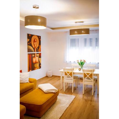 Cozy apartment in the downtown with free parking