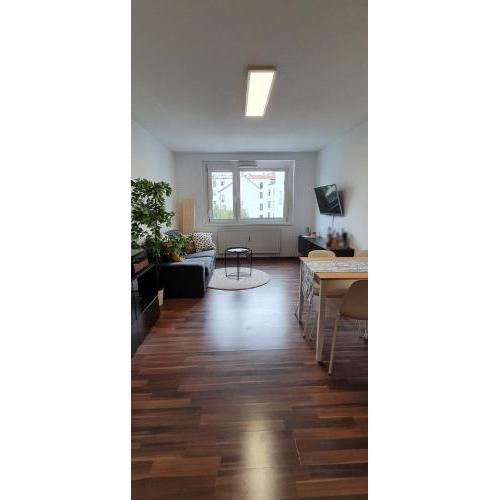 Cozy Apartment near Augarten