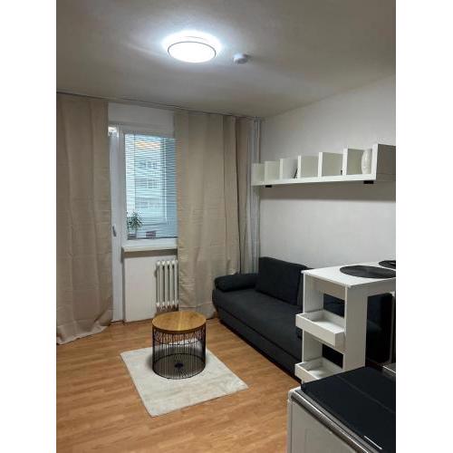 Cozy Apartment next to the train station and near the city center
