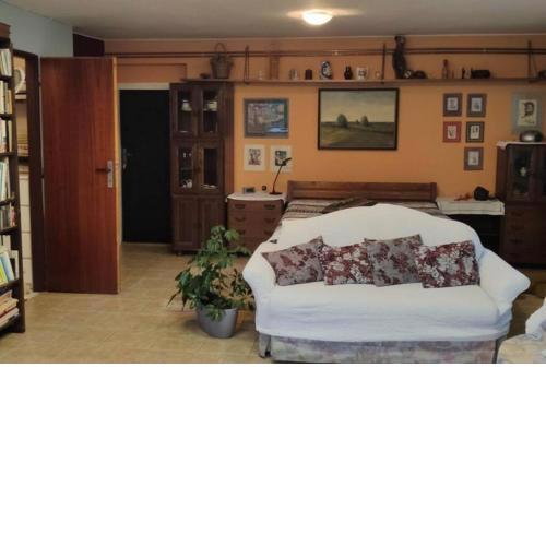 Cozy apartment with garden, free parking