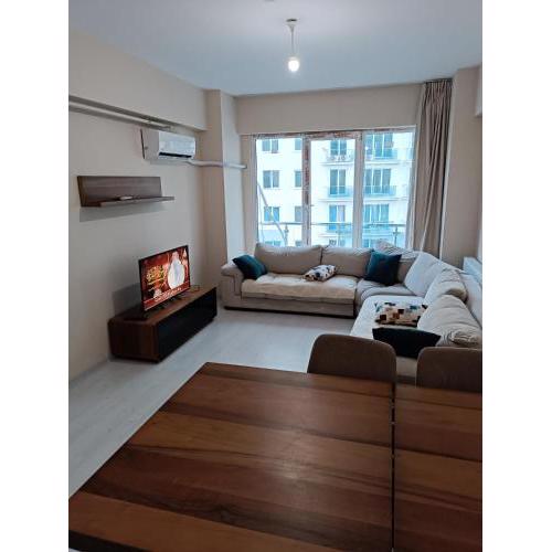 Cozy Apartment