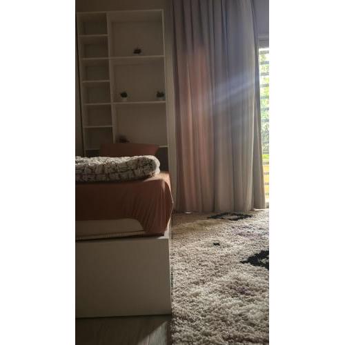Cozy apartments and nice location