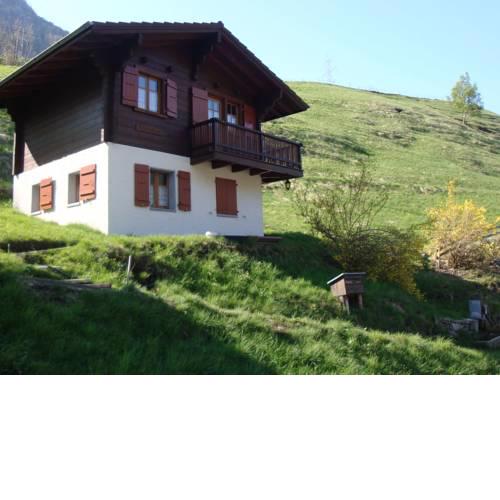 Cozy Chalet in Chrixacher near Forest