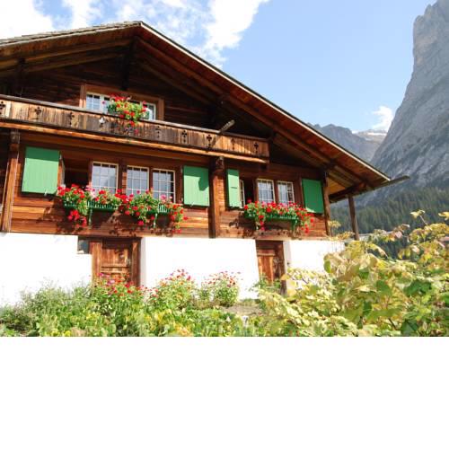 Cozy Chalet in Grindelwald with Mountain View
