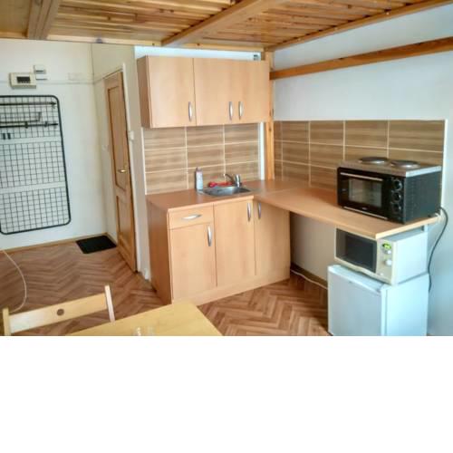 Cozy Flatel in downtown for 2