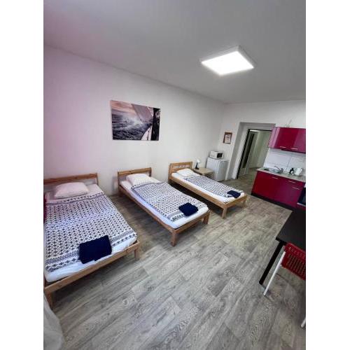 Cozy Flats near City Center - 12 min to Center and Parking
