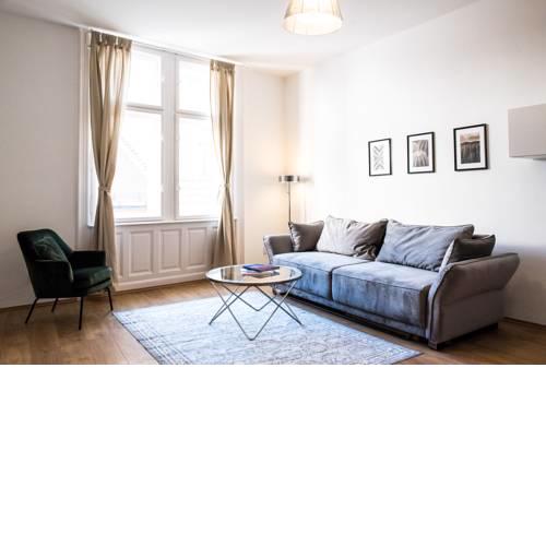 Cozy Grey Classic Apartment