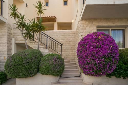 COZY HOUSE IN PAPHOS