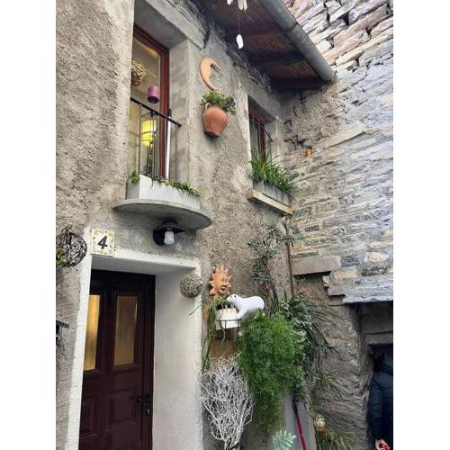 Cozy house in the old town
