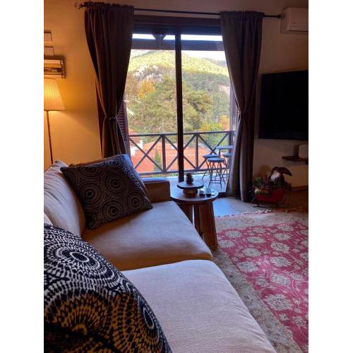 Cozy mountain apartment in Platres