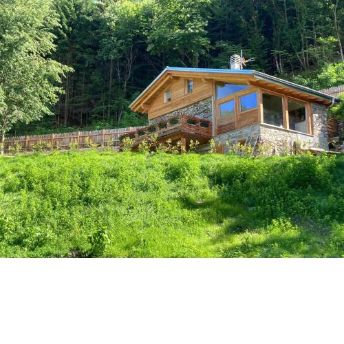 Cozy Nature House