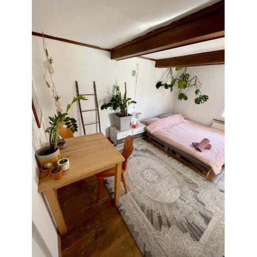 Cozy Room in an old Farmhouse
