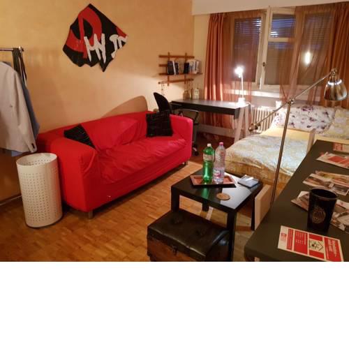 Cozy room with garden corner in Waedenswil (CH)