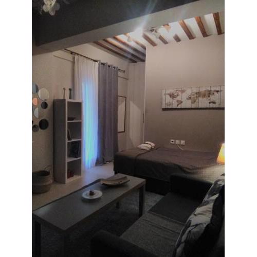 Cozy studio apartment