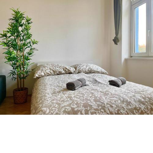 Cozy Studio Close To Metro