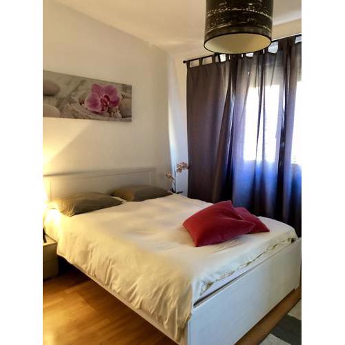 Cozy Studio in Central Geneva