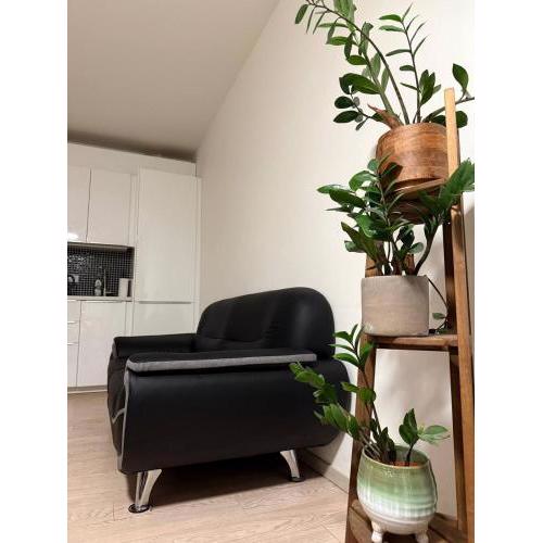 Cozy studio near city centre