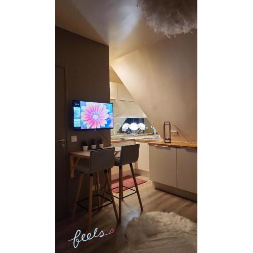 Cozy Studio Paris 16ème - Arc de Triomphe, Champs Elysées & Trocadero