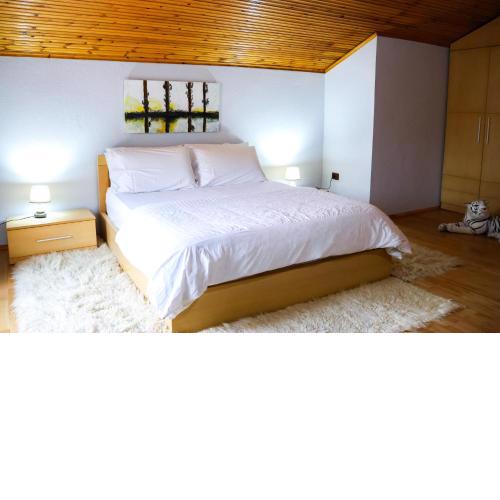 Cozy Tirana Guest House