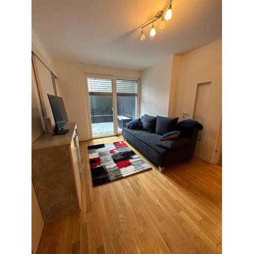 Cozy two-room apartment near VIC