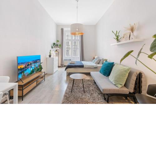 Cozy warm studio in Prague city center