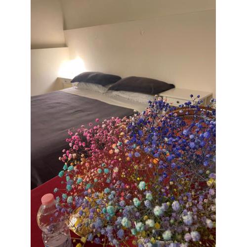 Crescenzo Pinto ZIMMER Room