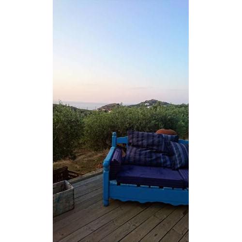 Cretan olives farm retrait