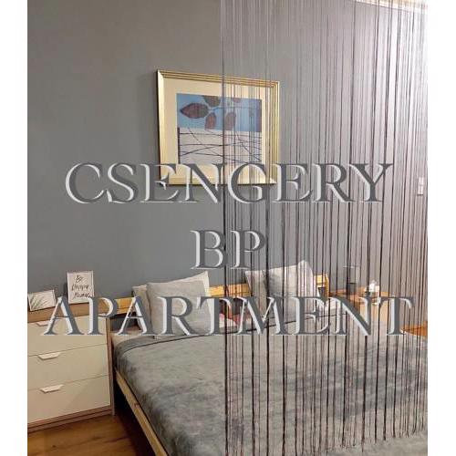 Csengery BP Apartments