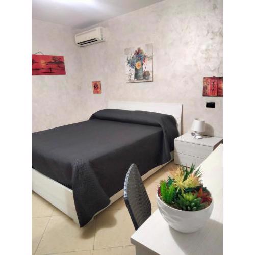 Cusano Home