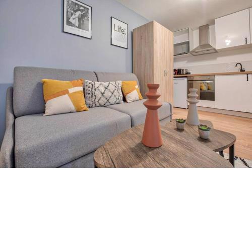 CV1G Charming studio at République - 2P