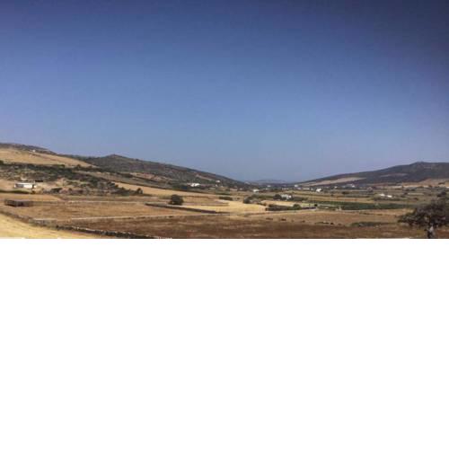 Cycladic Summer House in Antiparos-Livadia