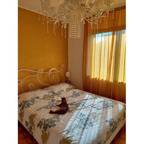 Da GianFi Lugano-Pregassona - Stanza privata - Adults Only