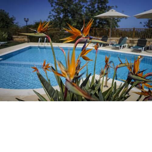 Dafni - Gerani Villas With private pooi