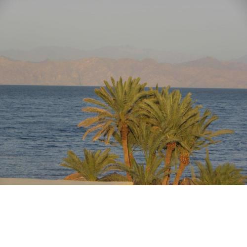 Dahab Studio Apartments
